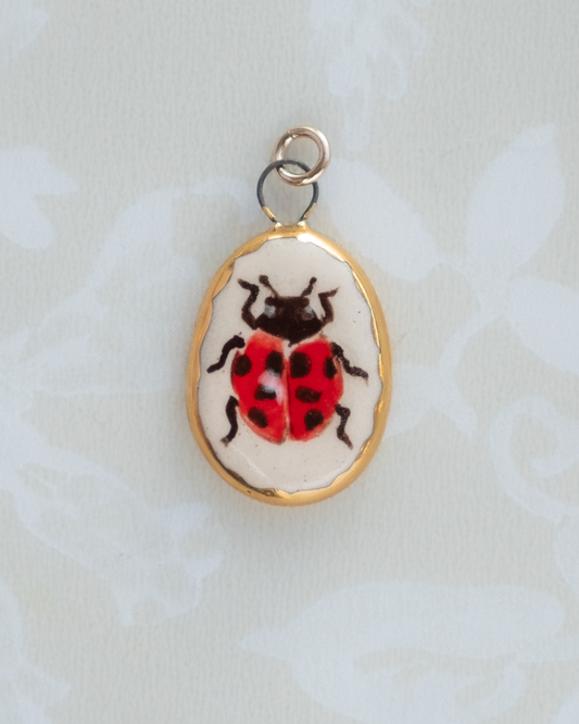 Ladybird Charm