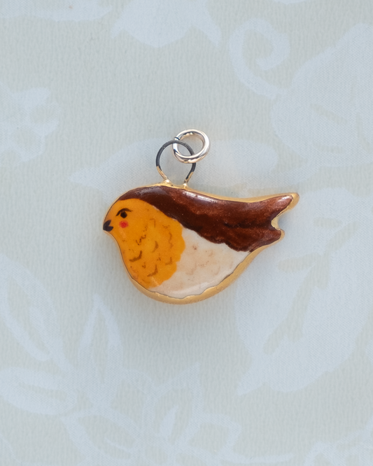 Robin Charm